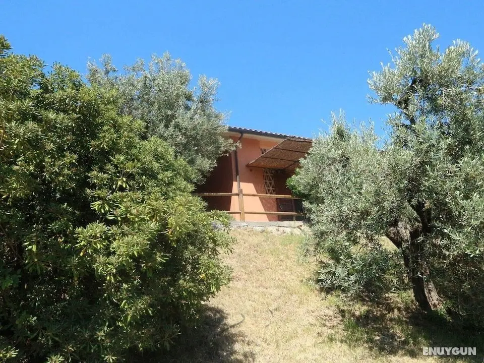 Snug Holiday Home in Castagneto Carducci near Thermal Bath - Öne Çıkan Resim
