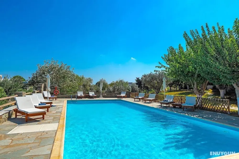 Villa Sofia - Havuz