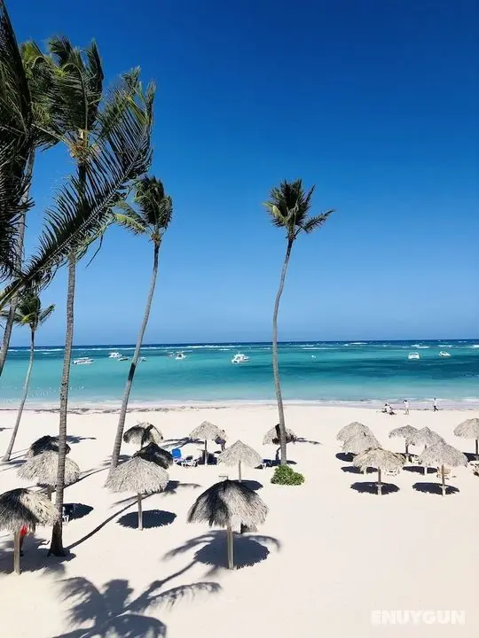 Sol Caribe Suites Los Corales Beach - Öne Çıkan Resim