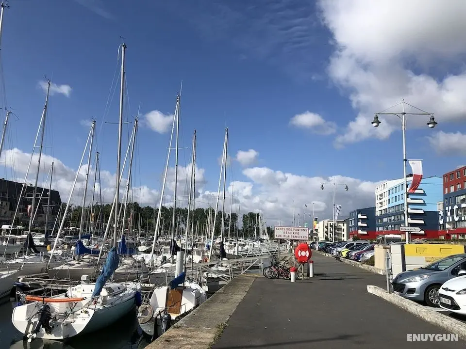 Soleil et Bateaux Superbe Port de Plaisance - Öne Çıkan Resim