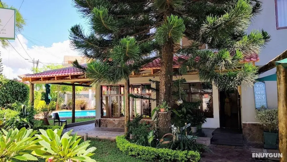 Sommerschield Guest House & Restaurant - Öne Çıkan Resim