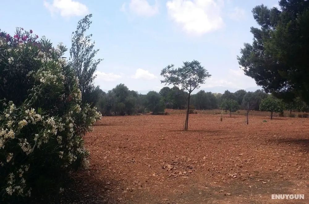 Villa Son Granada - Dış Mekan