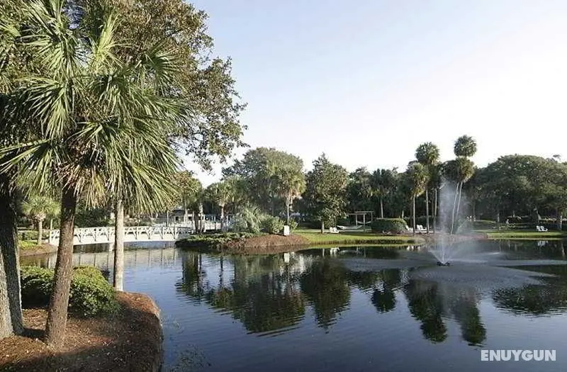 Sonesta Resort Hilton Head - Genel