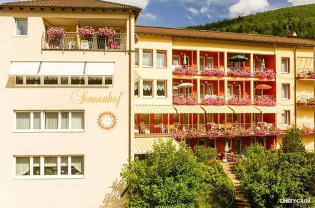 Hotel Sonnenhof - Öne Çıkan Resim
