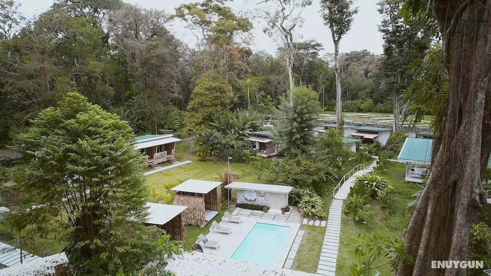Sonora Caribbean Jungle Retreat - Havuz
