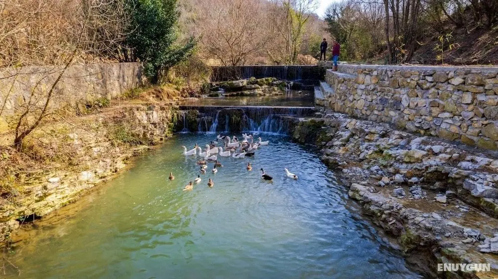Sosyete Çobanı Doğal Yaşam Oteli - Dış Mekan