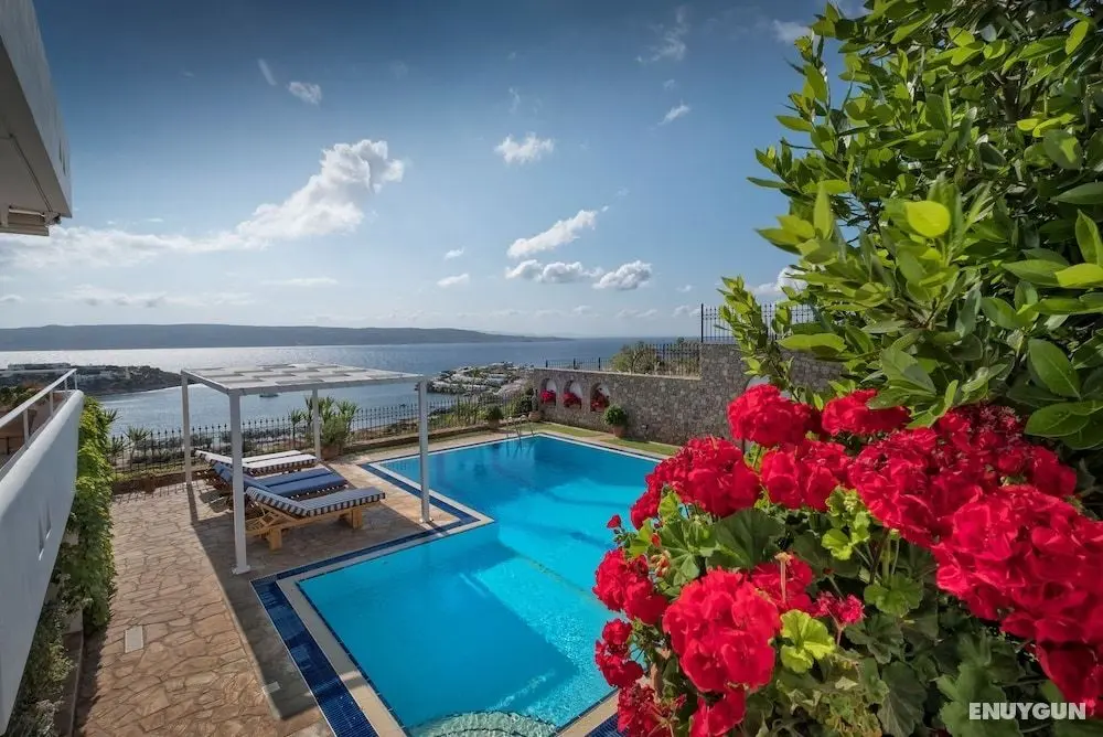 Sounio Villa - Öne Çıkan Resim