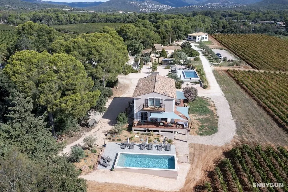SOUS LES PINS - Öne Çıkan Resim