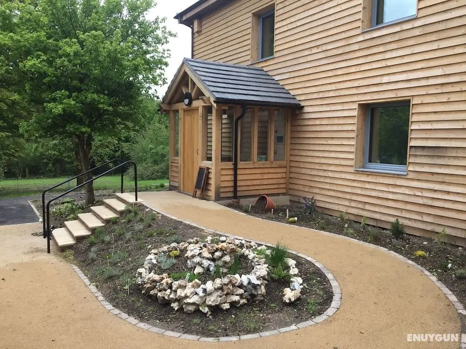 South Downs Eco Lodge and Camping - Öne Çıkan Resim