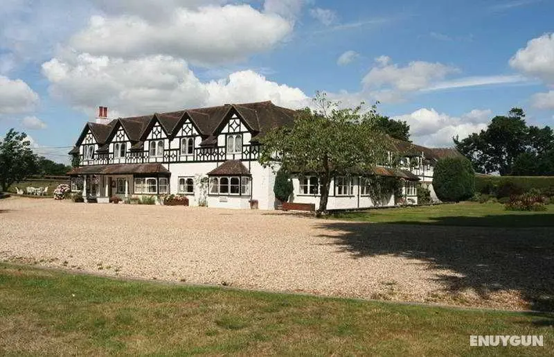 South Lawn - Genel