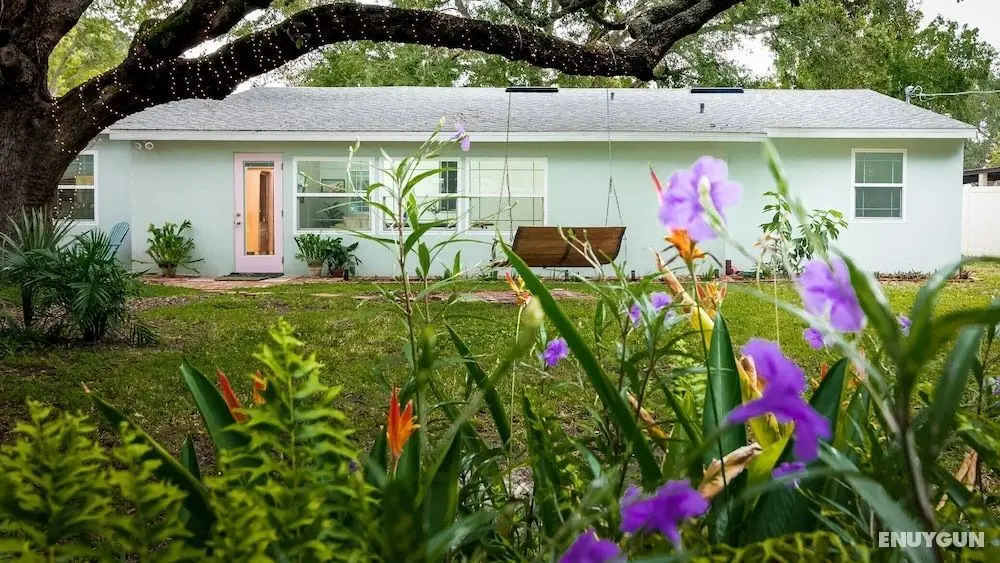 South Tampa Sweet Retreat - Öne Çıkan Resim