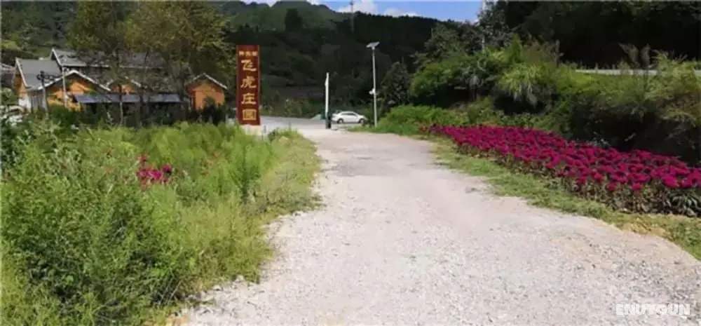 Southeastern Flying Tiger Manor - Öne Çıkan Resim