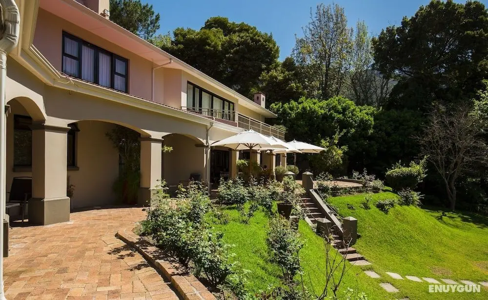 Southern Light Country House - Öne Çıkan Resim