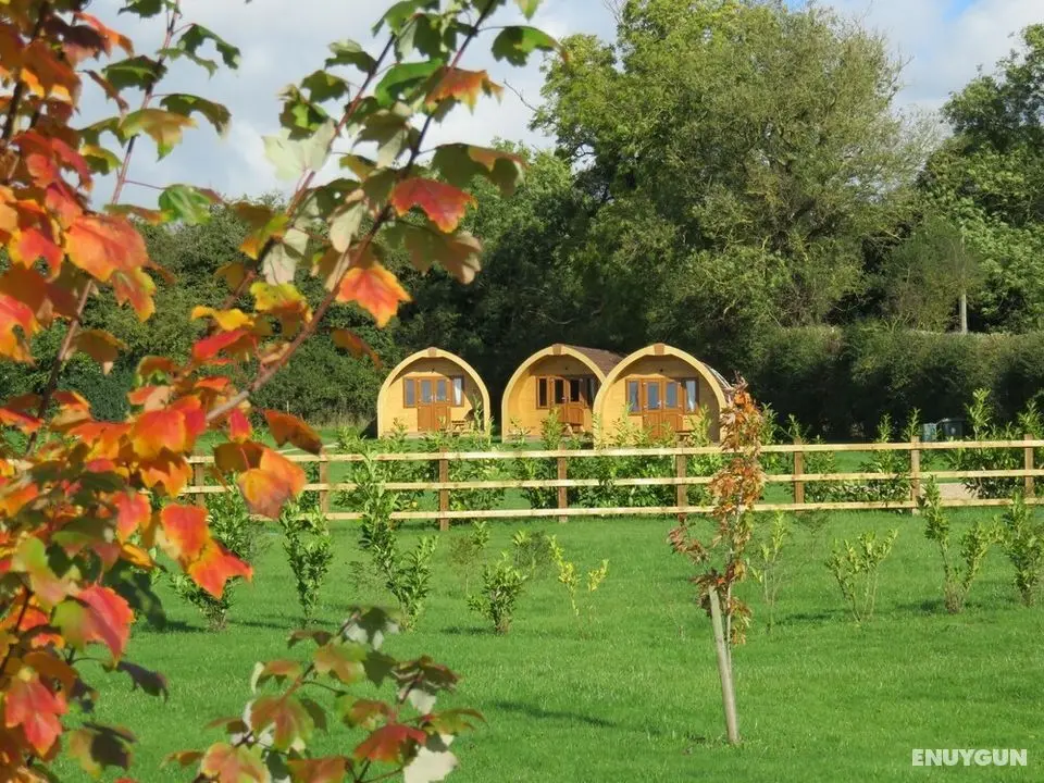 Southwell Retreat Glamping Pods - Öne Çıkan Resim