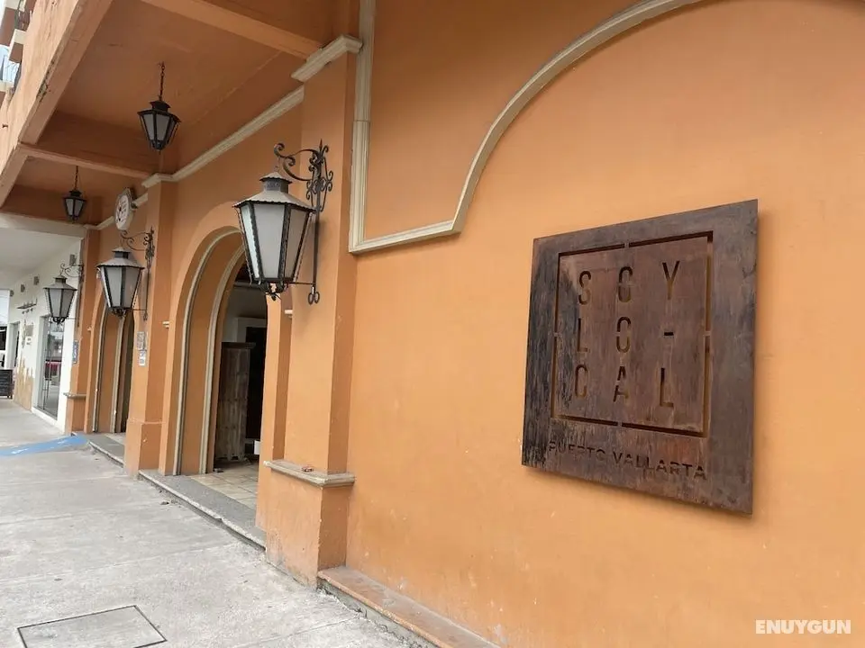 Soy Local Puerto Vallarta - Öne Çıkan Resim