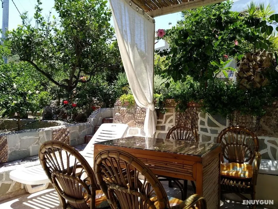Spaceful Apartment With Veranda n Garden - Öne Çıkan Resim