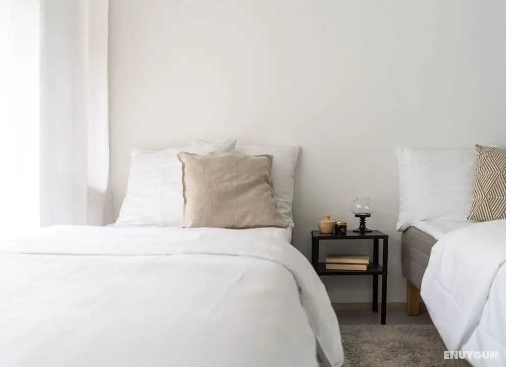 Spacious 2 br apartment in city center - Oda