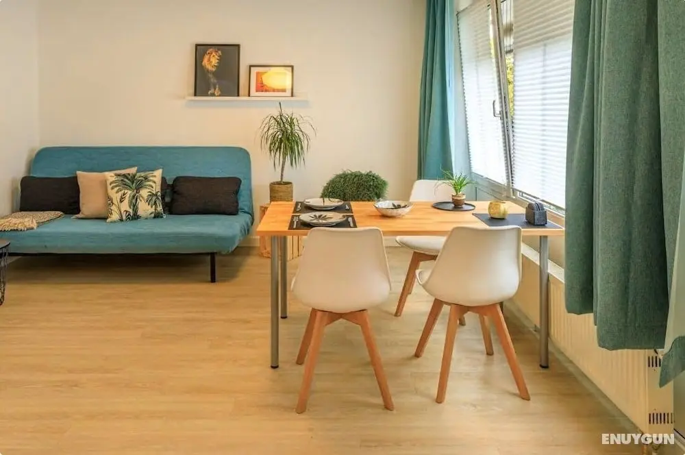 Spacious Design Apartments near Center - Öne Çıkan Resim