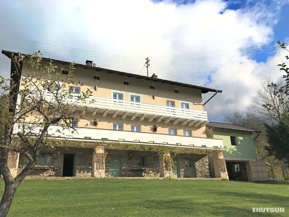 Spacious Villa near Forest in Buchet - Dış Mekan