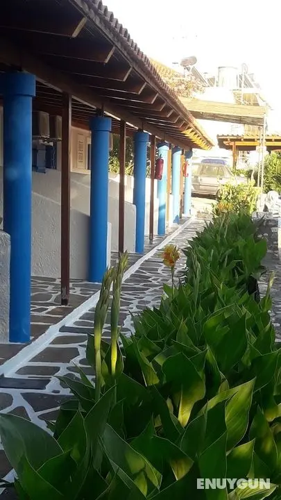 Spasmata Studios - Öne Çıkan Resim