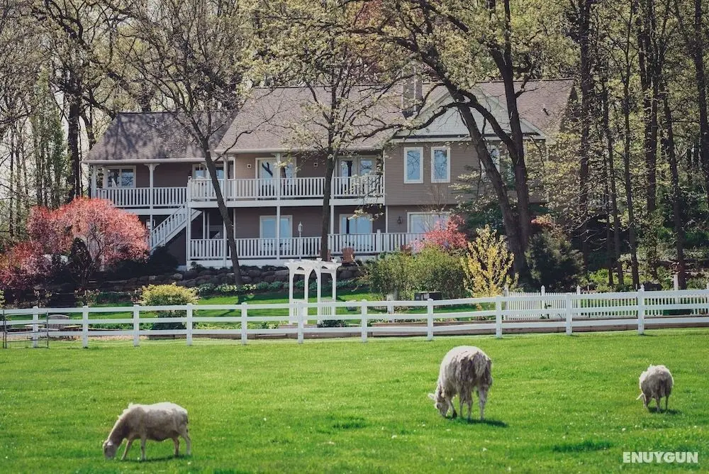 The Speckled Hen Inn B&B - Öne Çıkan Resim