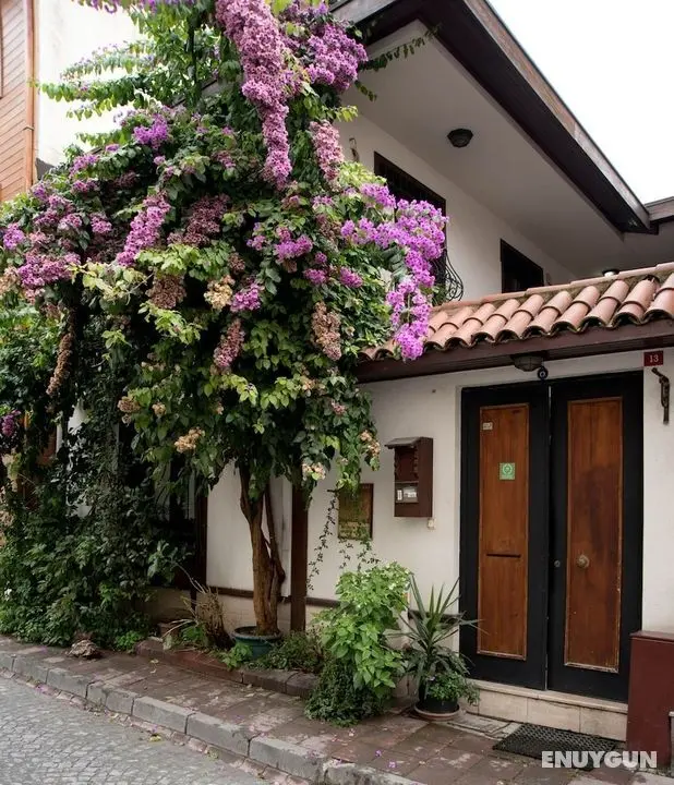 Villa Sphendone Suites - Öne Çıkan Resim