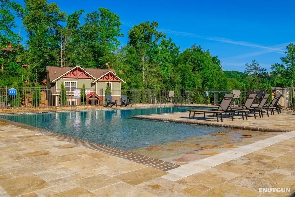 Splashing Bear Lodge - Havuz
