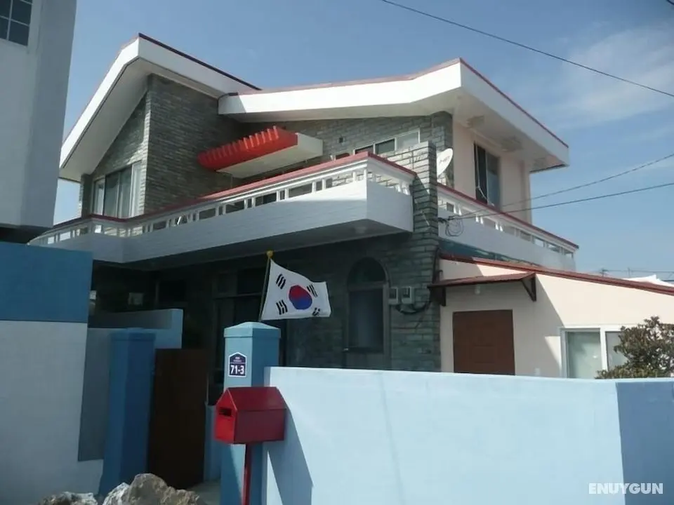 Springflower Guesthouse - Hostel - Öne Çıkan Resim