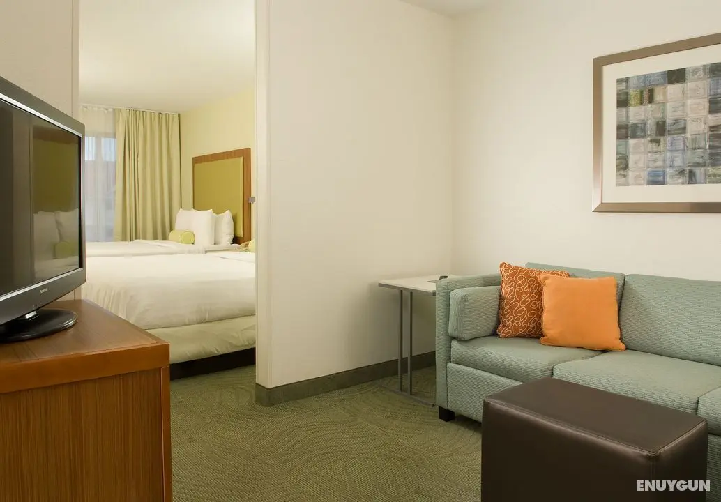 Springhill Suites Convention Ctr Intl Drive Area - Oda