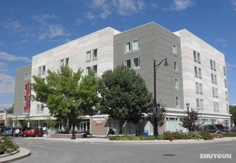 SpringHill Suites Grand Junction Downtown - Genel