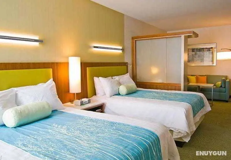 SpringHill Suites Harrisburg Hershey - Genel