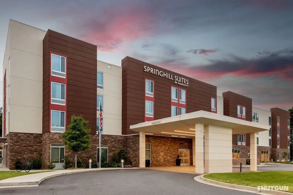 SpringHill Suites by Marriott Atlanta Alpharetta/Roswell - Öne Çıkan Resim