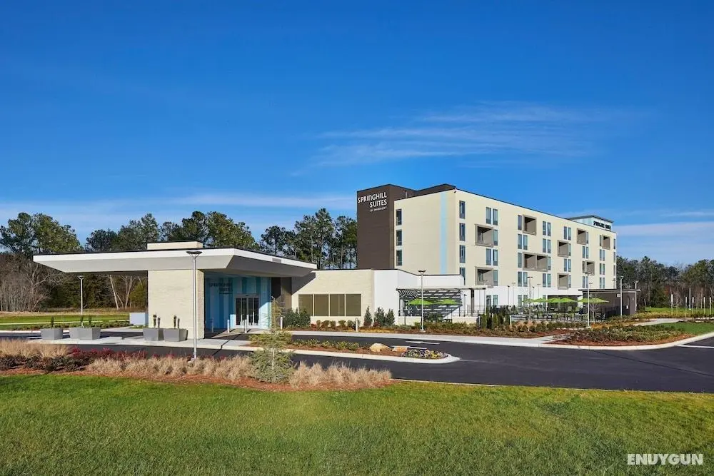 SpringHill Suites by Marriott Charlotte at Carowinds - Dış Mekan