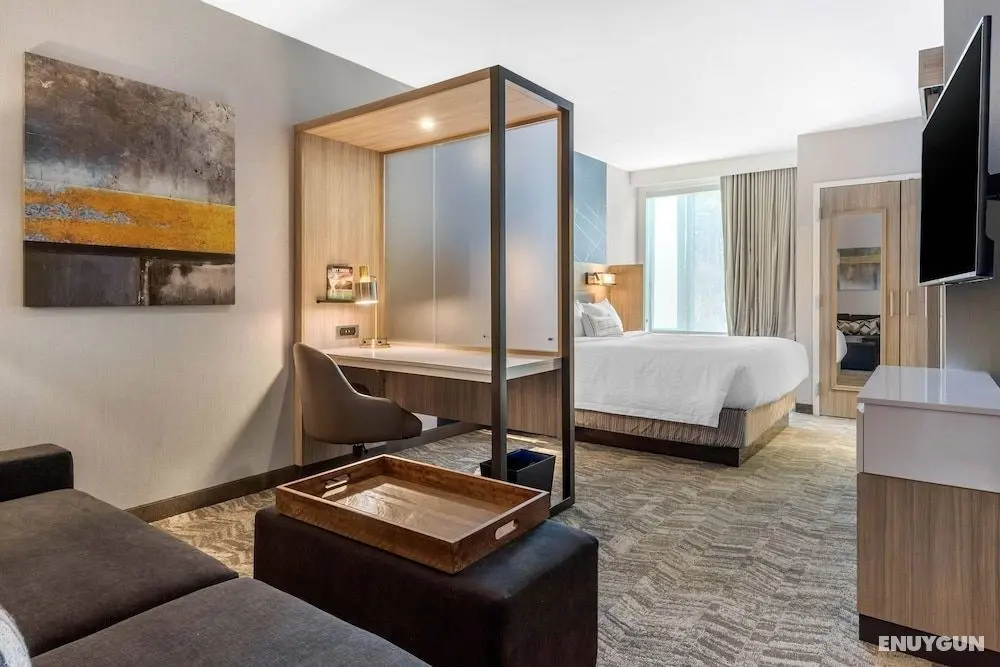 SpringHill Suites by Marriott Charlotte Southwest - Öne Çıkan Resim