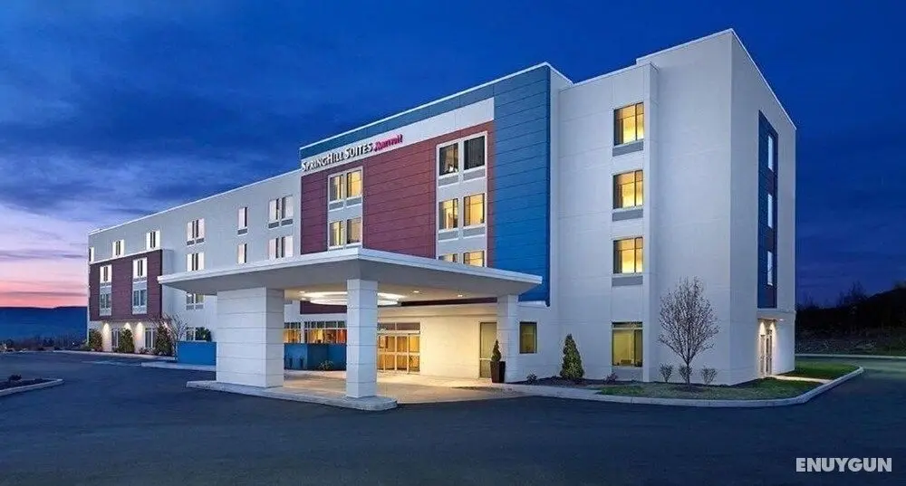 SpringHill Suites by Marriott Chattanooga South/Ringgold, GA - Dış Mekan