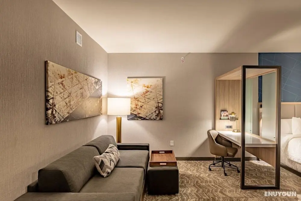 SpringHill Suites by Marriott Dallas McKinney/Allen - Öne Çıkan Resim