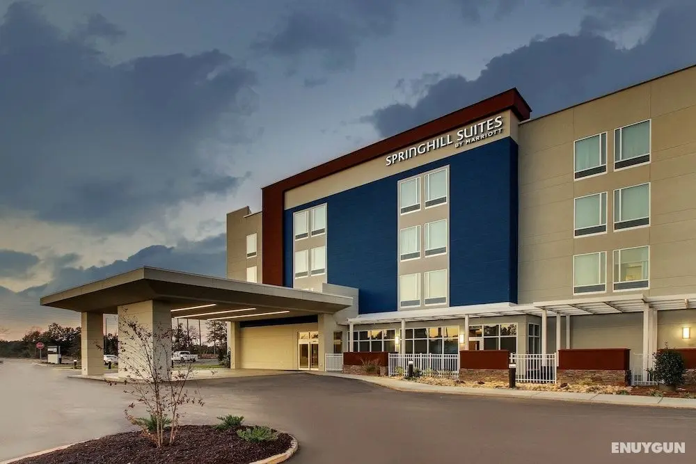 SpringHill Suites by Marriott Gulfport I-10 - Öne Çıkan Resim