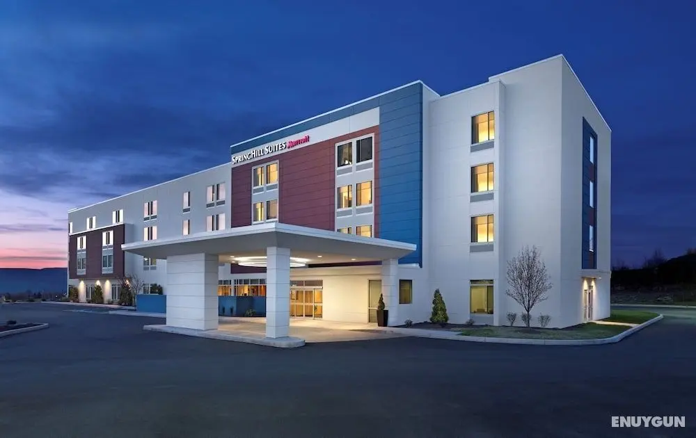 SpringHill Suites by Marriott Jacksonville Baymeadows - Dış Mekan