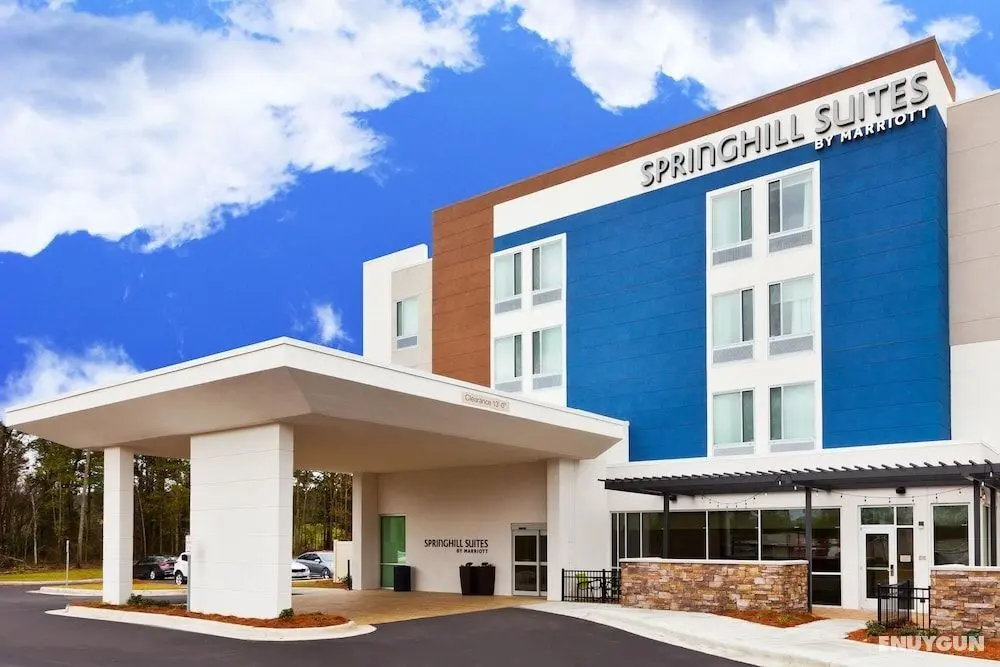 SpringHill Suites by Marriott Montgomery Prattville/Millbrook - Dış Mekan