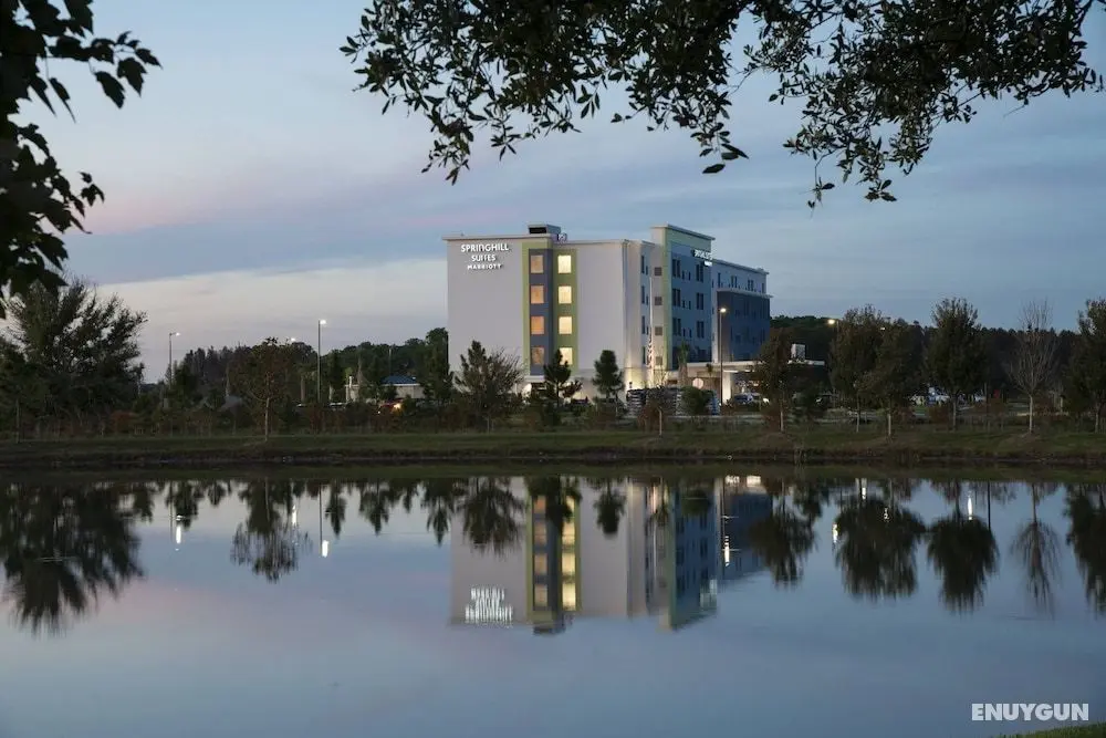 SpringHill Suites by Marriott Tampa Suncoast Parkway - Öne Çıkan Resim