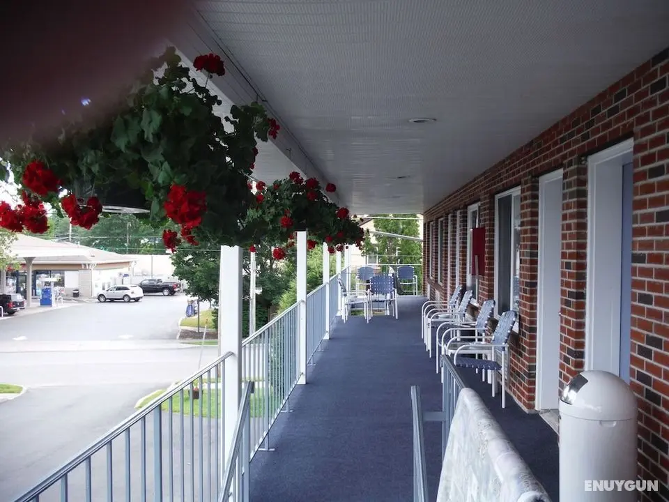 The Springs Motel - Dış Mekanlar