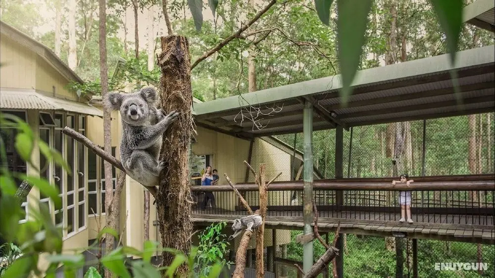 Springwood Meditation Vacation Center - Öne Çıkan Resim