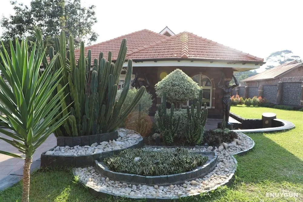 Stallion Place Hotel - Bed and Breakfast - Öne Çıkan Resim
