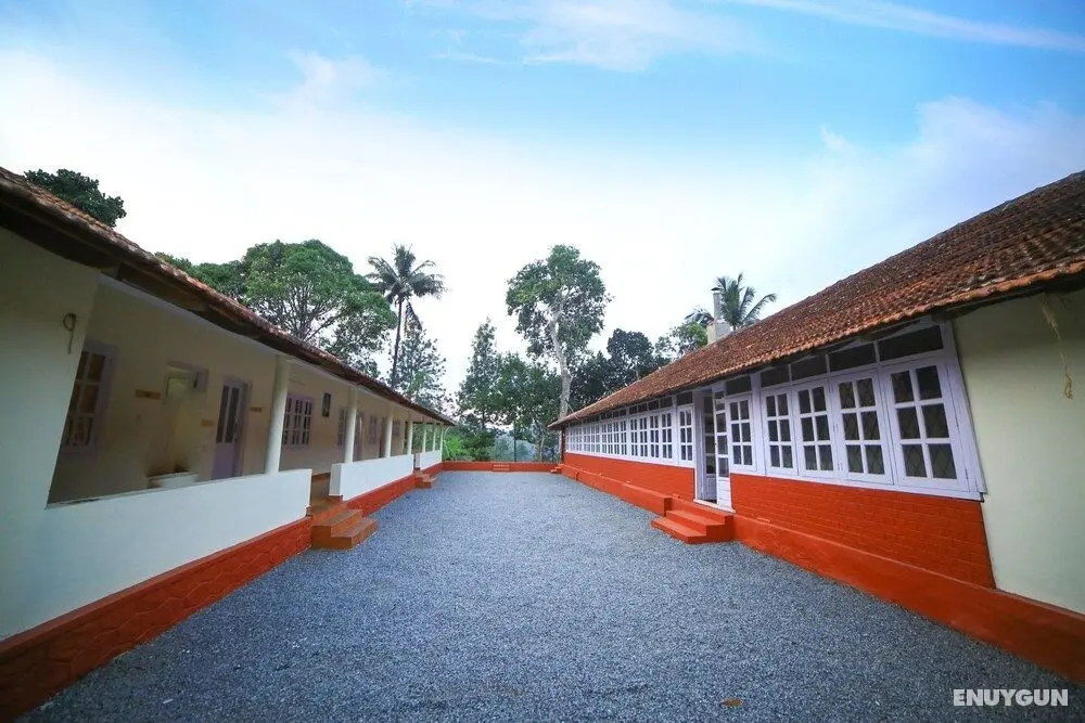 Standard Double Room-wayanad - Mülk Olanakları