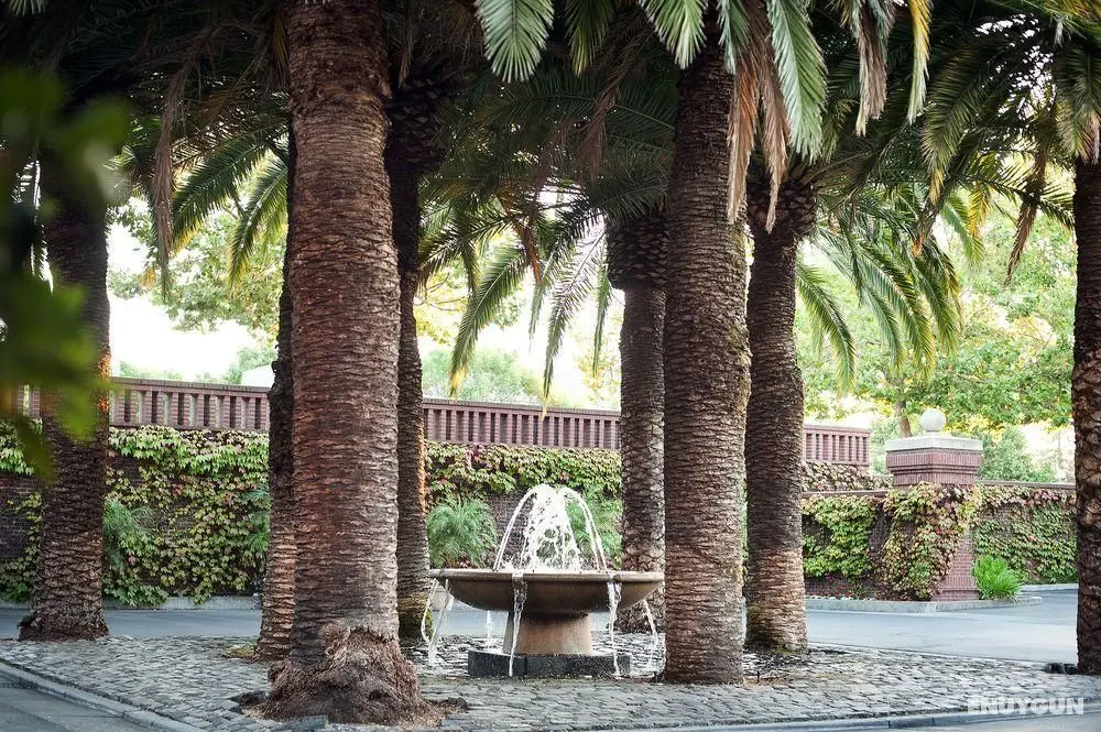 Stanford Park Hotel - Genel