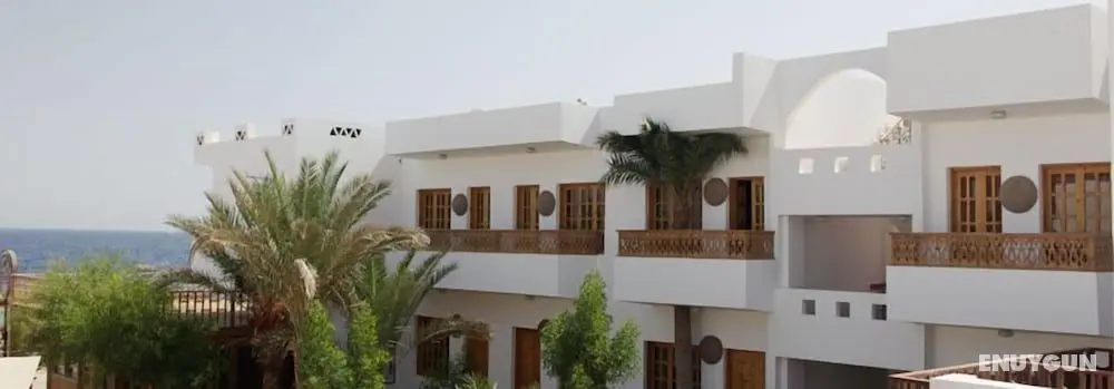 Star Of Dahab - Öne Çıkan Resim