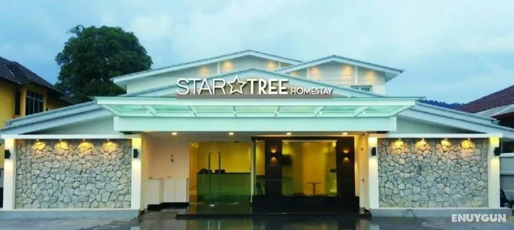Star Tree Homestay - Öne Çıkan Resim