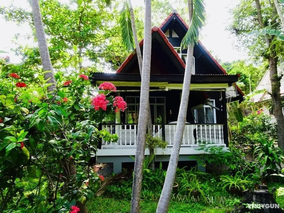 Starbay Samui - Öne Çıkan Resim