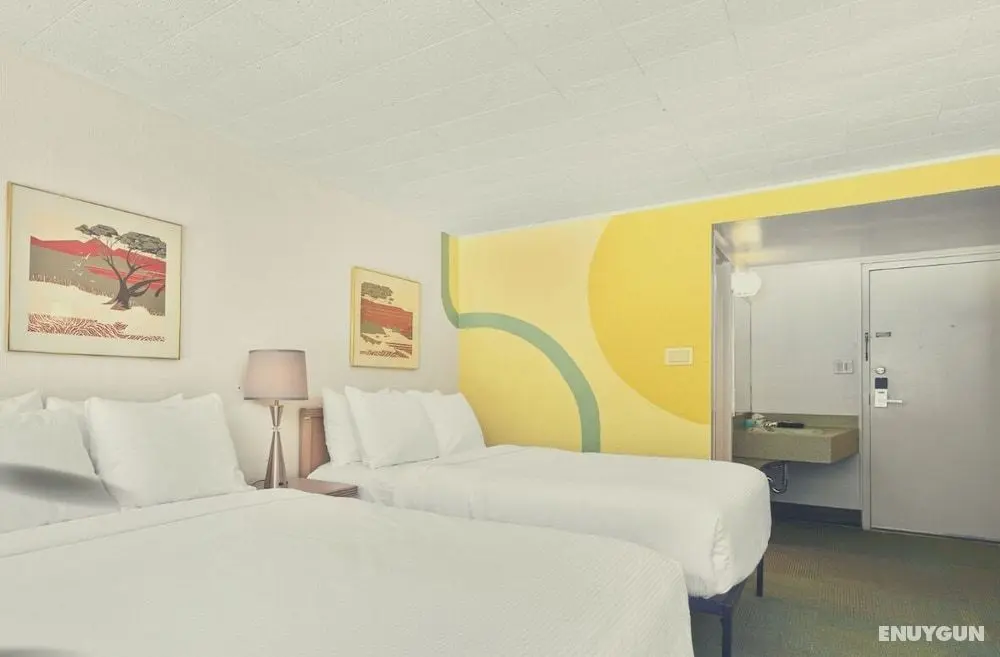 Stardust Motel Wallace - Öne Çıkan Resim