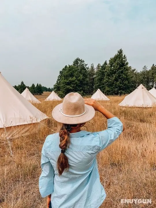 Starlight Camp Olympic - Öne Çıkan Resim